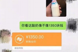 顺昌催收公司怎么收费？全面解析收费标准及服务内容