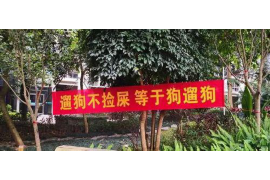 锡林郭勒催收公司排名前十名：揭秘行业翘楚，助力企业追回欠款